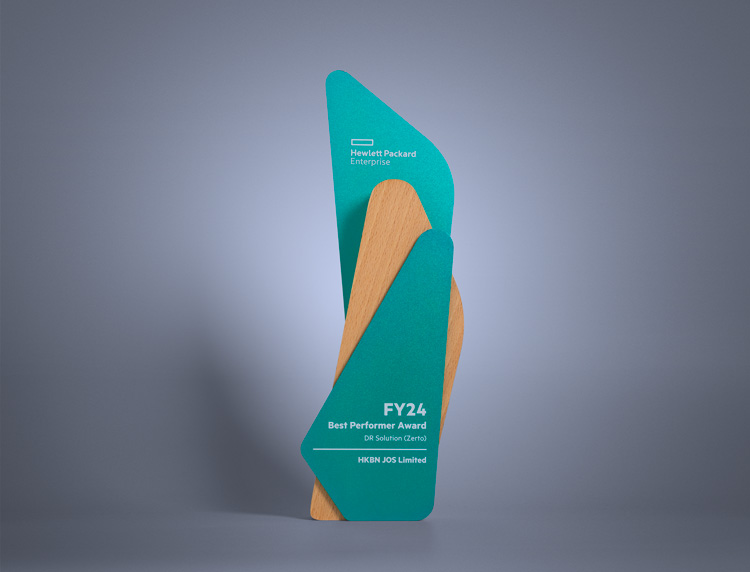 HPE-FY24-Best-Performer-Award