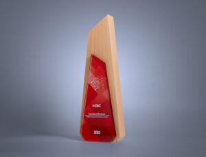 H3C-Excellent-Partner-2025-side