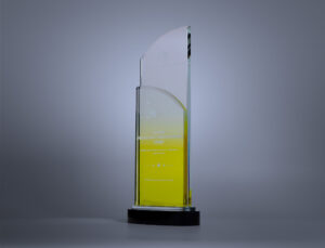 Huawei-2025-Excellent-Partner-Award-IP-Solutions-side